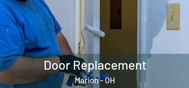  Door Replacement Marion - OH